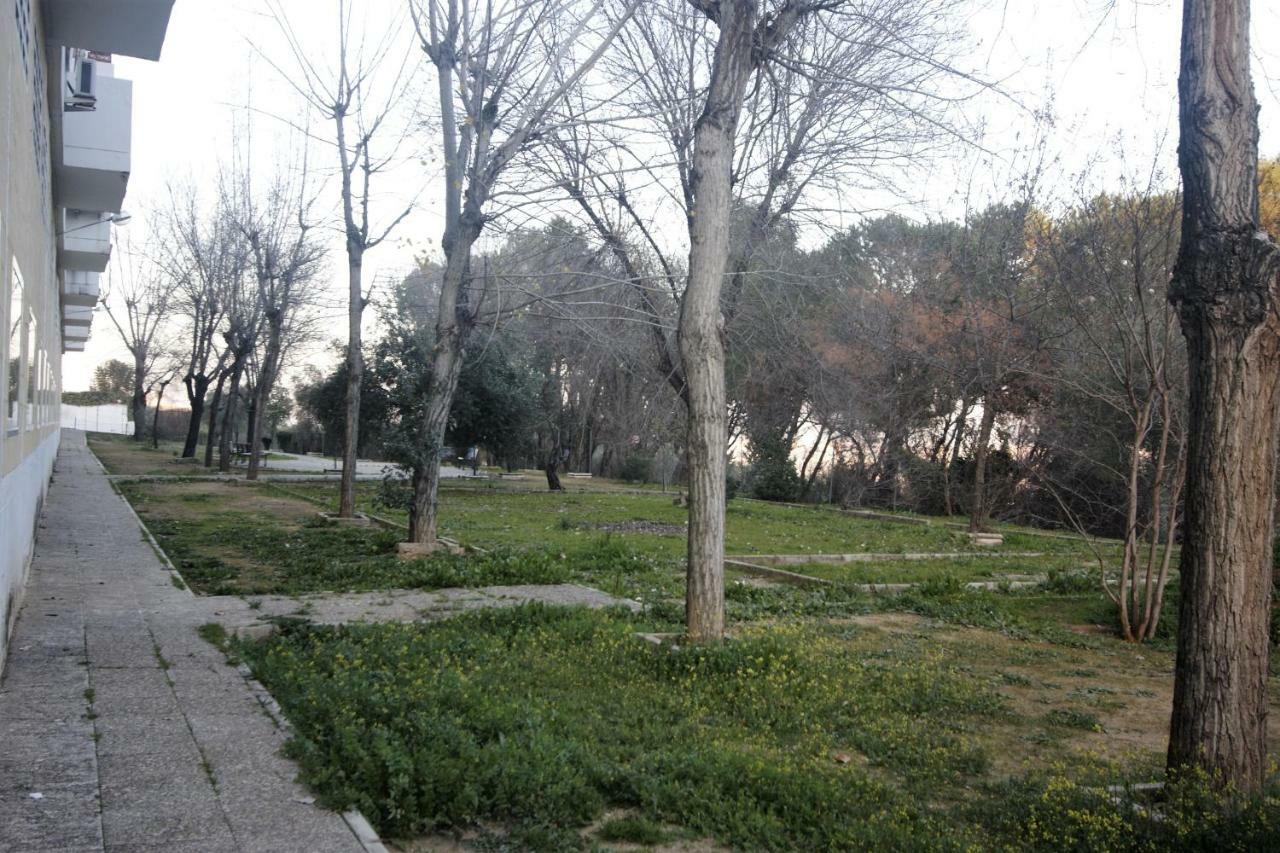 Bonito Apart. Con Parking Y Piscina Mairena del Aljarafe Exterior photo